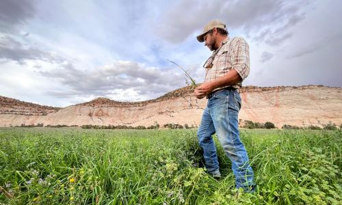 Audio: Utah has a $276M bet on farms to save Colorado River water. How’s it going?