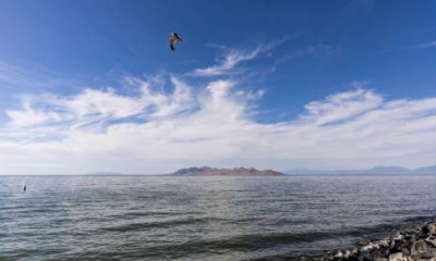 The gap between the Great Salt Lake's arms is closing. What does that mean for salinity?