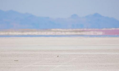 Great Salt Lake again dips to ‘scary low level’