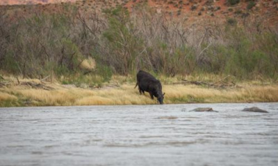 Utah approves plan to pay farmers to leave water in the Colorado River