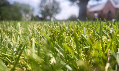 Utah’s 4th-largest city isn’t a part of the state’s grass replacement plan. Why?