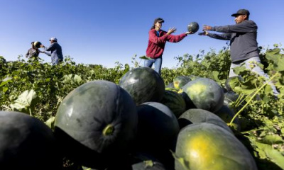 Farmers help a small town thrive with a big assist from a river