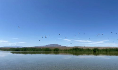 Long term solutions are key to conserving Great Salt Lake, experts say