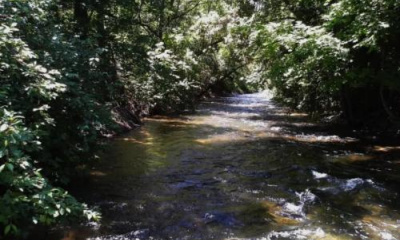 Proposed Logan law could cause flooding and destroy habitat, expert warns