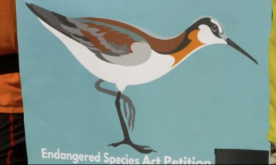 Lawsuit threatened over Great Salt Lake endangered species petition