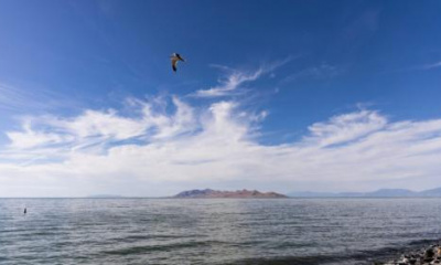 New study says Utahns, especially farmers, need to cut water use by 35% to save Great Salt Lake