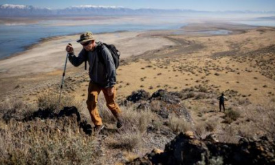 Utah could bring bighorn sheep back to another Great Salt Lake island