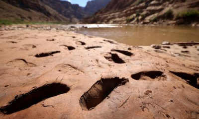 Will Lake Powell become Lake Mud? Inside the growing sediment crisis