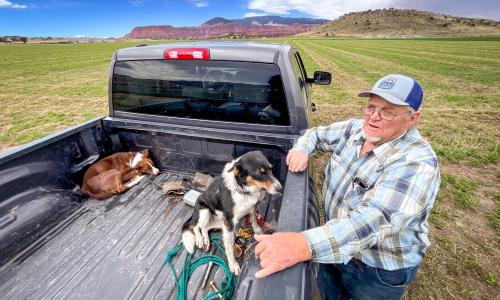 TV: Utah has a $276M bet on farms to save Colorado River water. How’s it going?