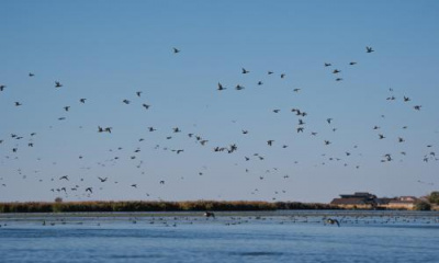 As water levels dwindle, Utah legislature might address Great Salt Lake during a special session