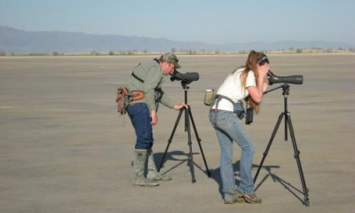 Weber State professor teams up with DWR to host Snowy Plover survey 