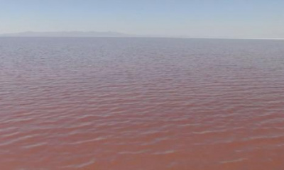 The surprising pink color of Great Salt Lake's northern portion explained