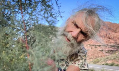 One Utah man’s quest to track the bugs fighting invasive trees on the Colorado River