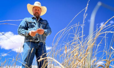 How unconventional crops could save water — and reshape Utah farming