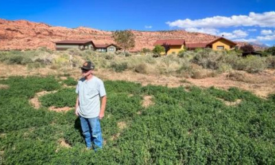 What swapping crops for houses means for Utah’s water and agriculture future