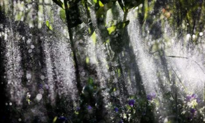 Why should you wait to water your lawn, according to these Utah experts