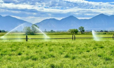 Cutting back alfalfa and hay crops is vital to helping Great Salt Lake, study finds