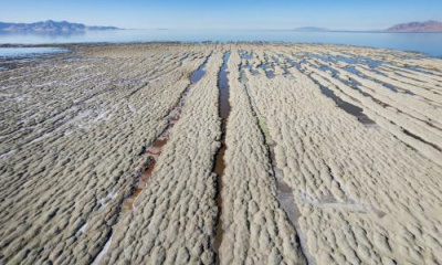 The Great Salt Lake’s ecological collapse has begun