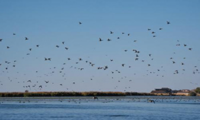 As water levels dwindle, Utah legislature might address Great Salt Lake during a special session