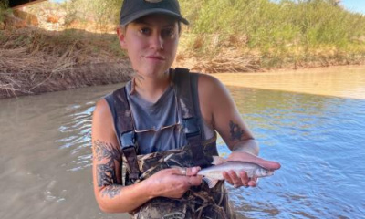 Researchers look to expand restoration efforts within Green River tributaries