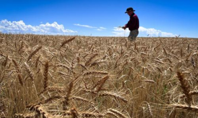 Think Utah farmers should do without irrigation? Here’s what that looks like