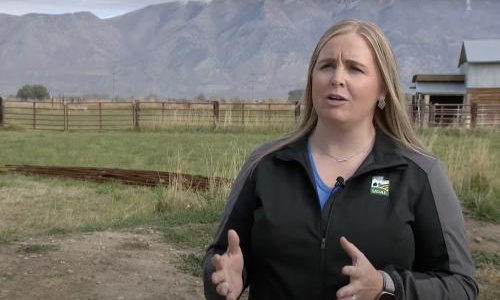 Video: Where's the water? Utah can't exactly track saved water from agriculture efficiencies