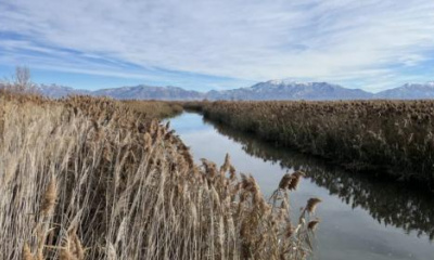 Federal funding to bring new stream gates to Great Salt Lake