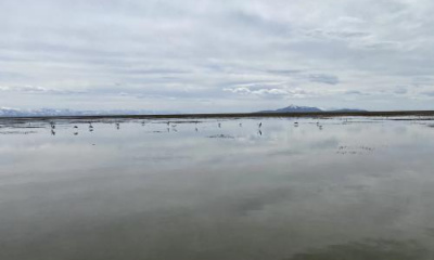 Climate change could reduce Great Salt Lake's biodiversity