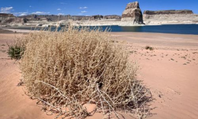Utah has water problems now. What if the megadrought lasts another 25 years?