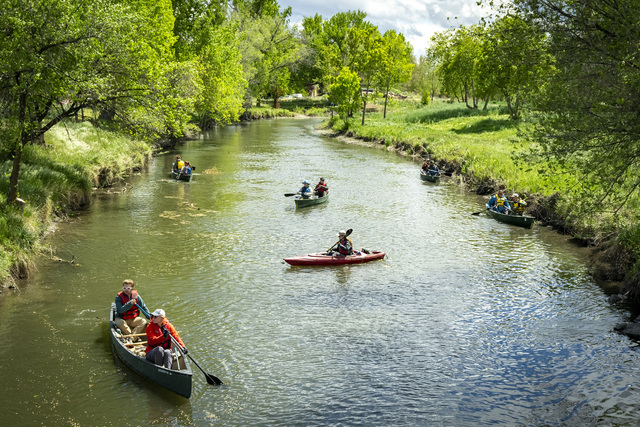 (Rick Egan | The Salt Lake Tribune) Volunteers paddle along the banks of the Joran River on Wednesday, April 22, 2026, as the Jordan River Commission hosted an Earth Day kayak-based river cleanup on the Jordan River.