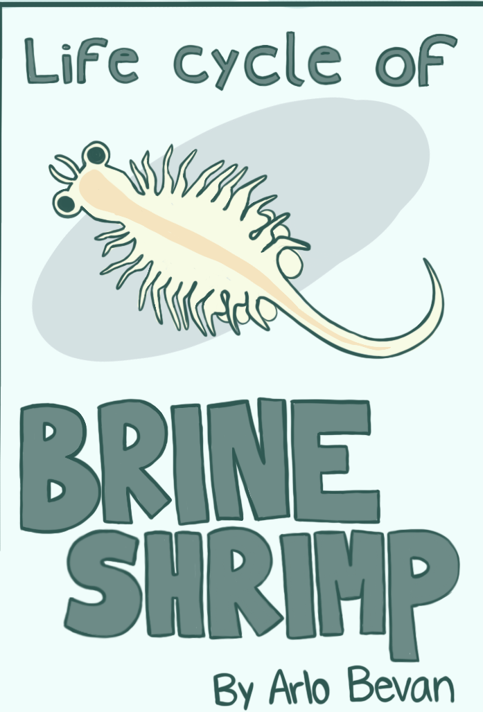 Brine Shrimp Zine 1