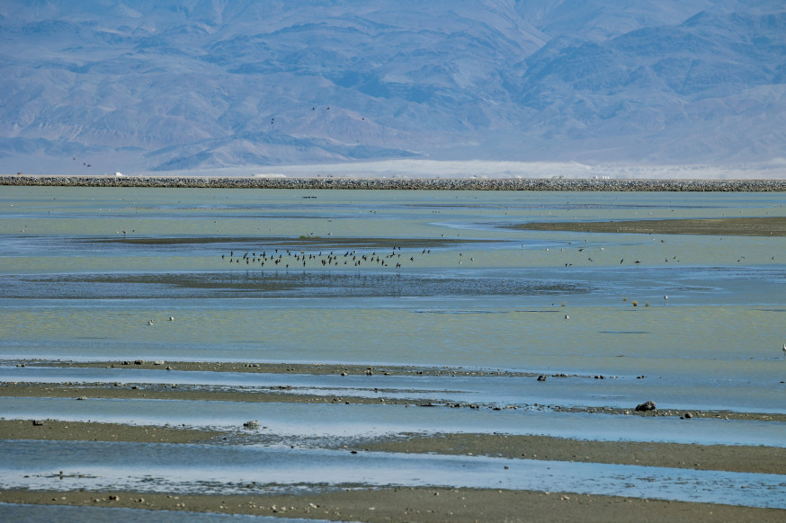 Birds are pictured in a part of the Owens Lake Dust Mitigation Program that has been converted to a shallow flood area on the otherwise dry lakebed in Inyo County, California, on Thursday, Aug. 11, 2022.