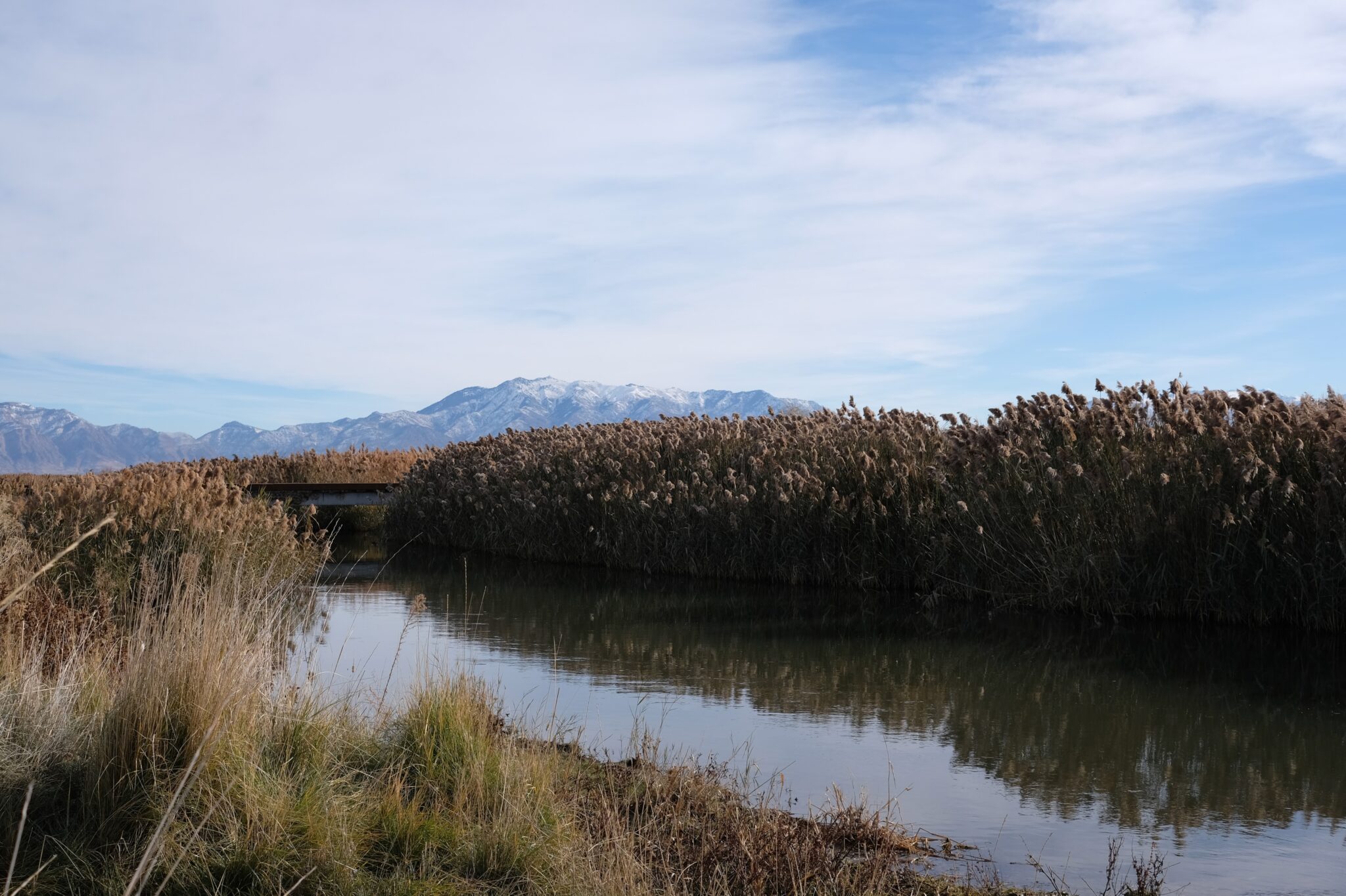 DSCF2323 2048x1365