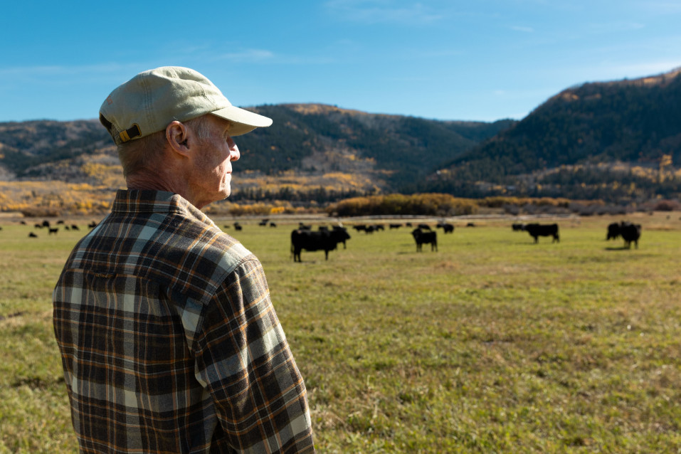Steve Clyde looks out at the view of his ranch in Kamas on Sunday, Oct. 15, 2023.