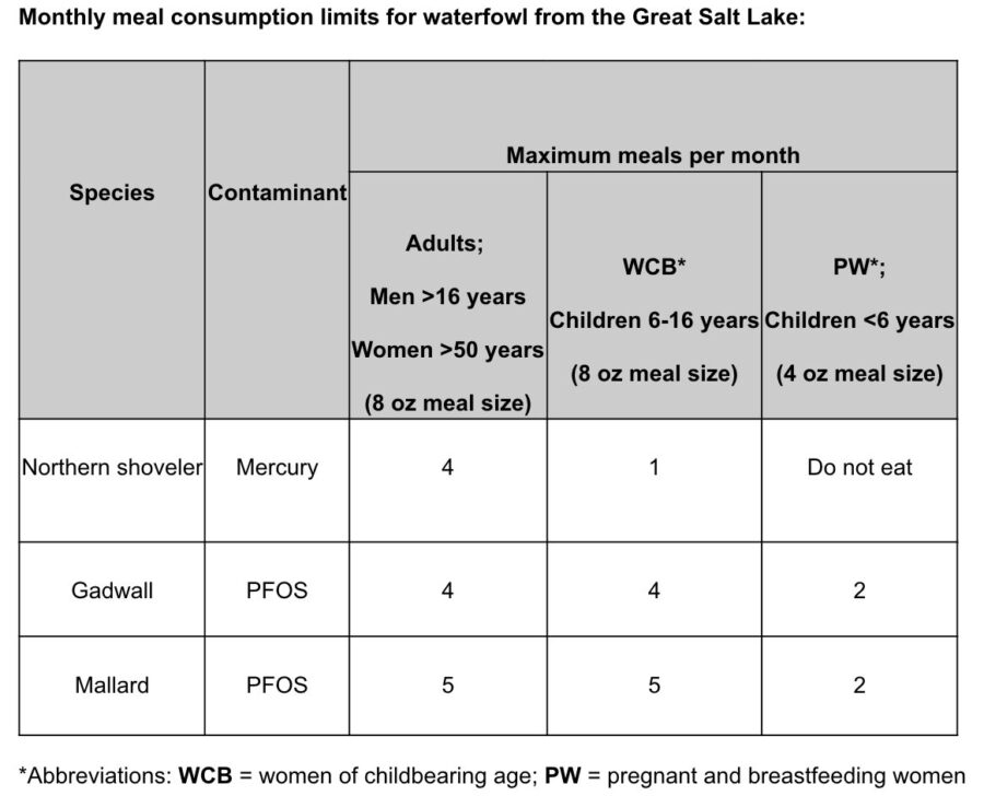 An updated chart outlining recommended consumption of waterfowl from the Great Salt Lake released on Sept. 19, 2025. (Utah Department of Environmental Quality and the Utah Department of Health & Human Services)