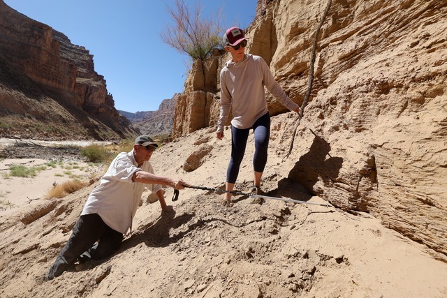 Jack Schmidt, USU’s Janet Quinney Lawson Colorado River Studies chair and Center for Colorado River Studies director, and Meg Flynn, Returning Rapids researcher, climb partially up a 40- to 60-foot high wall of sediment buildup called the Dominy Formation during a Returning Rapids trip in Cataract Canyon on the Colorado River on Friday, Sept. 20, 2024. It is named after Floyd Dominy, commissioner of the U.S. Bureau of Reclamation in 1963, who was responsible for the dam and Lake Powell. When asked about the future effects of sediment on the Colorado River, Floyd replied, “We will let people worry about it in the future.”