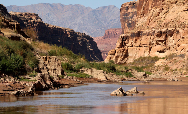 Mud deposits, referred to as mudbergs by Returning Rapids researchers, are pictured in the Colorado River and lining the river banks by Mille Crag Bend, between Cataract Canyon Glen Canyon Dam, on Sunday, Sept. 22, 2024. The sediment filled in when this area was submerged under Lake Powell. After the lake receded, mud remains.