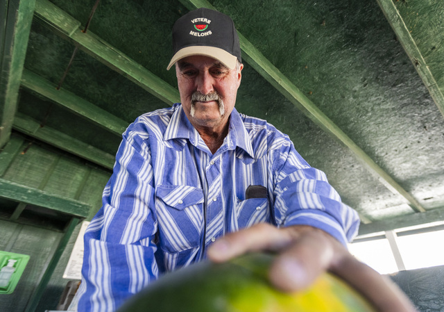 Greg Vetere slices into a watermelon to give out samples to customers at his families melon stand in Green River on Thursday, Sept. 19, 2024. Vetere is a third generation melon farmer continuing the farming tradition started by his grandfather.