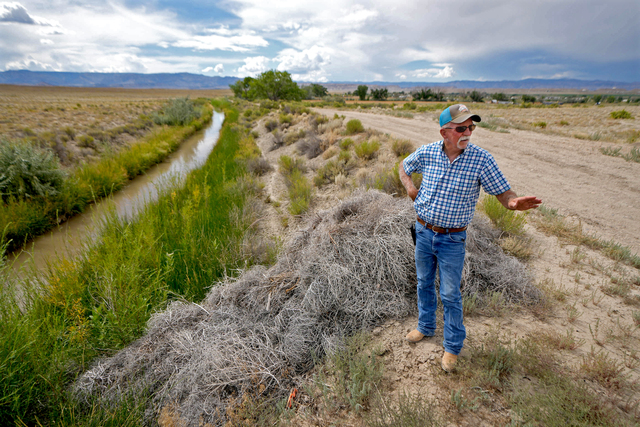 (Francisco Kjolseth | The Salt Lake Tribune) Kevin Cotner, a farmer who uses Price River water, fallows some of his fields and leases the saved irrigation water to benefit the over-allocated Colorado River system, as seen on Aug. 16, 2023.