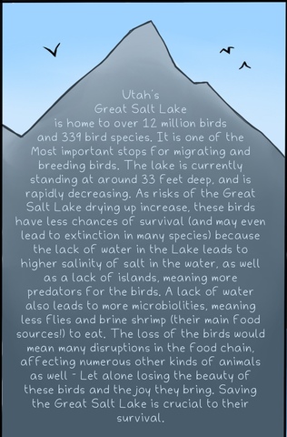 common birds arlo 8
