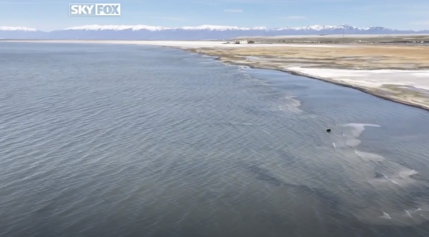 (Fox 13)