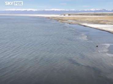 (Fox 13)