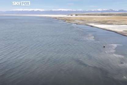 (Fox 13)
