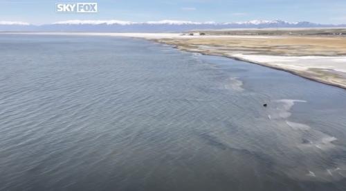 (Fox 13)