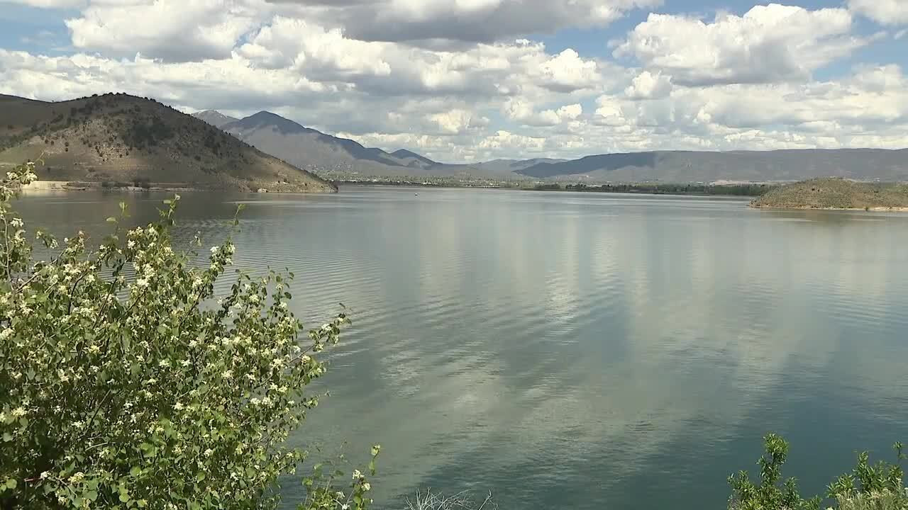 (Fox 13)