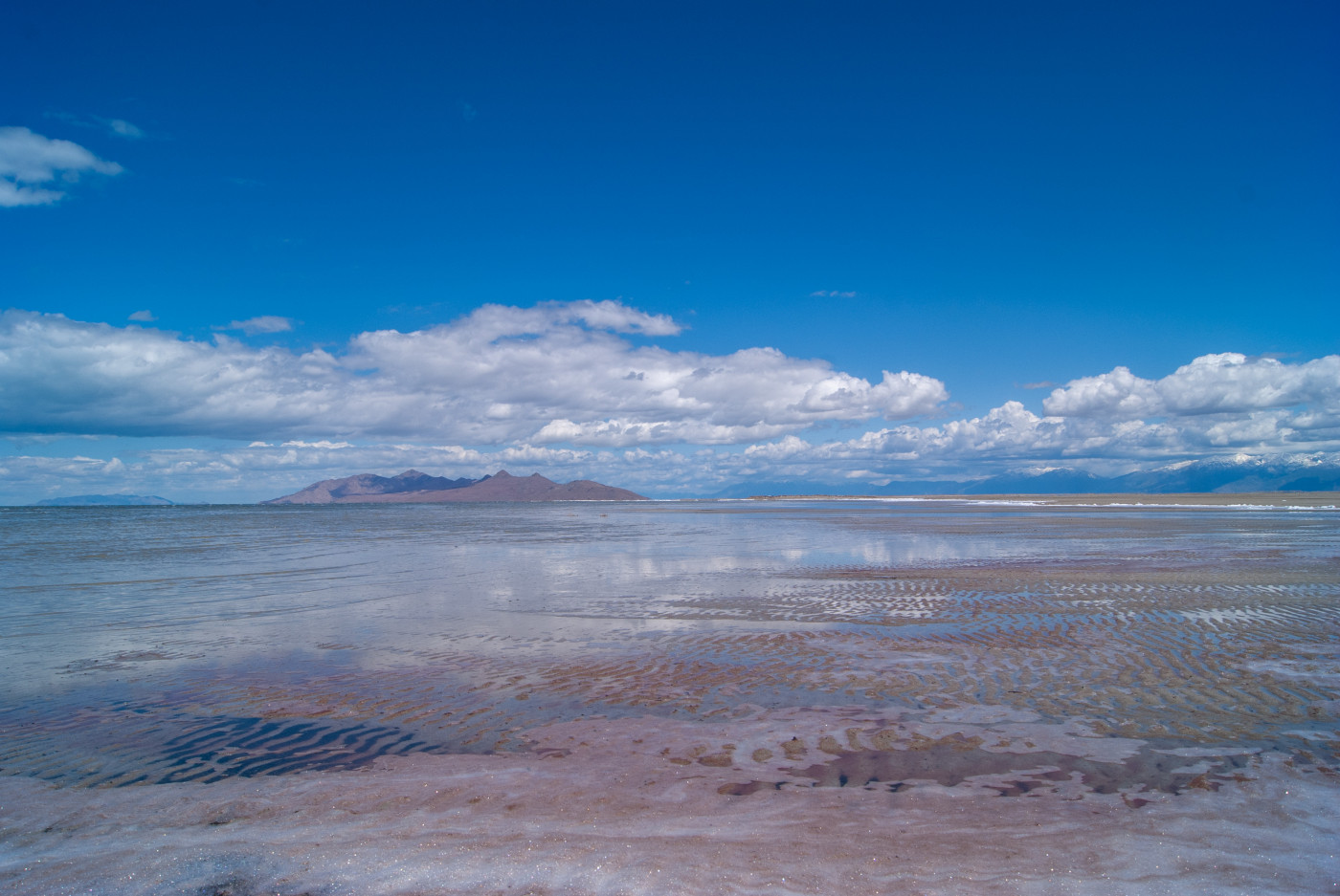 The southern shore of Great Salt Lake on May 15, 2025. (Mariah Maynes)