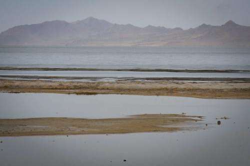 Great Salt Lake at the Black Rock historic site along the California Trail looking toward Antelope Island, March 29, 2025. (David Condos/KUER)