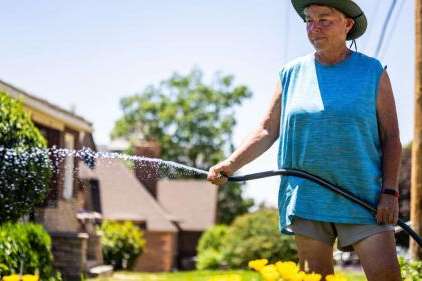 Linda Cook waters plants in the Capitol Hill neighborhood in Salt Lake City on Monday, June 9, 2025. Salt Lake County water managers say they've noticed an increase in water consumption again this year after a warmer and drier start to the irrigation season. (Tess Crowley/Deseret News)