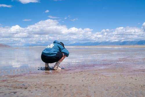 Lacey Cintron, a friend of the photographer, examines brine shrimp in shallow water near on the Great Salt Lake's south arm on May 15, 2025. (Mariah Maynes/Great Salt Lake Collaborative)
