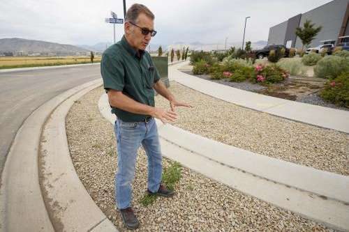 (Chris Samuels | The Salt Lake Tribune) Riverton environmental engineer Tom Beesley shows an example of an urban swale in Riverton, Friday, July 18, 2025. The recessed park strip is intended to capture stormwater and pollution before it enters the city’s sewage.